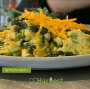 spring-scramble-brunch-dish-with-cheese